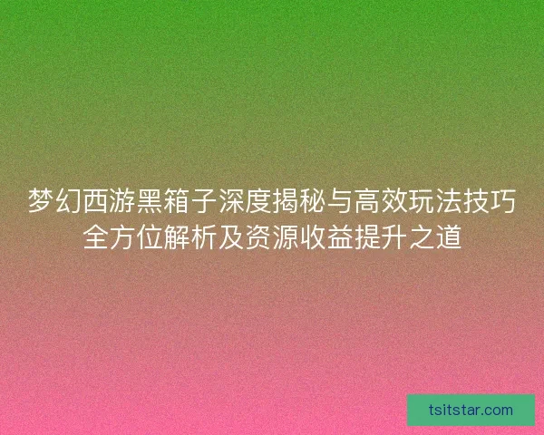 梦幻西游黑箱子深度揭秘与高效玩法技巧全方位解析及资源收益提升之道