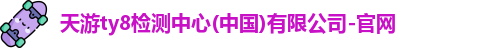 天游ty8检测中心